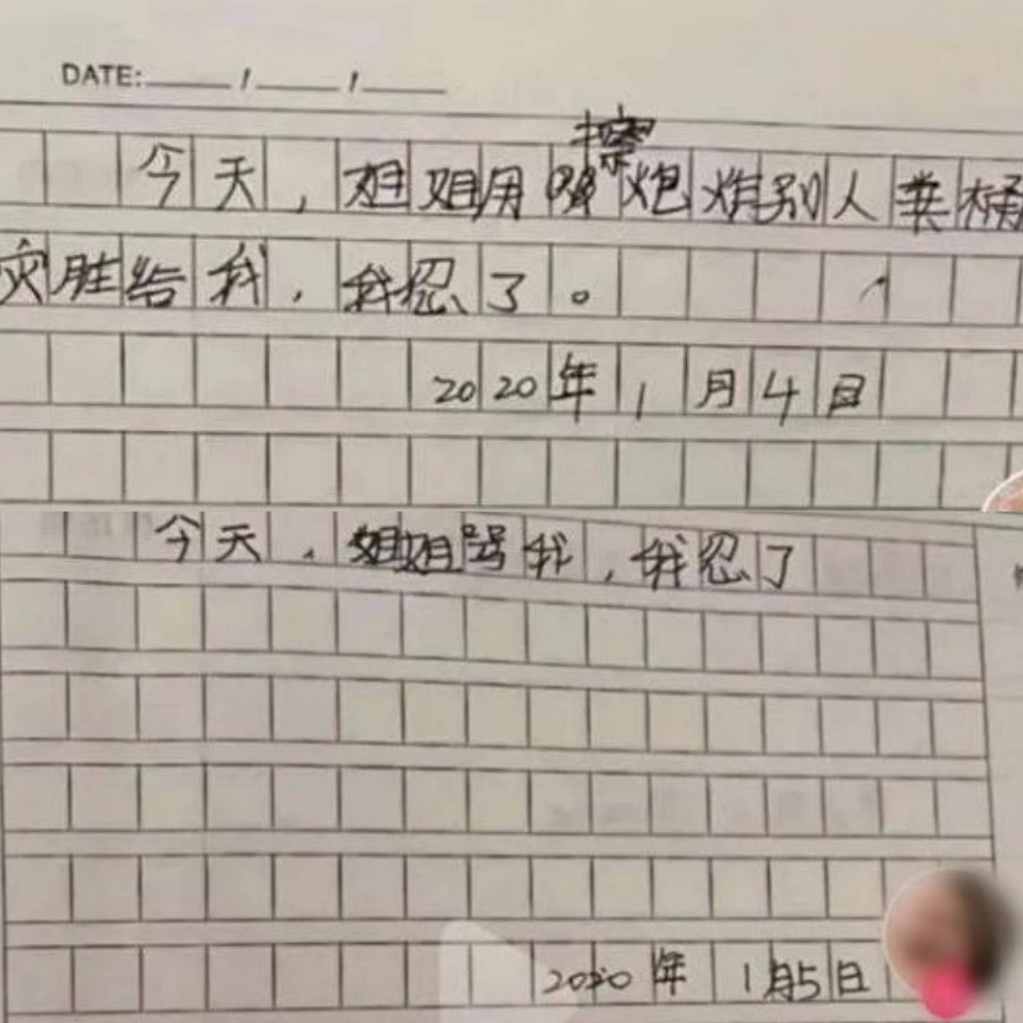 原创小学生暗藏记仇日记本走红每一页都是我忍了看到最后笑喷
