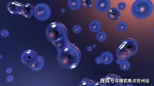 52c5c38471de4d3b909a97fbb8e65c04.jpeg