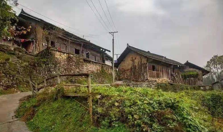 中国真实人口是机密吗_爱宠大机密兔子图片