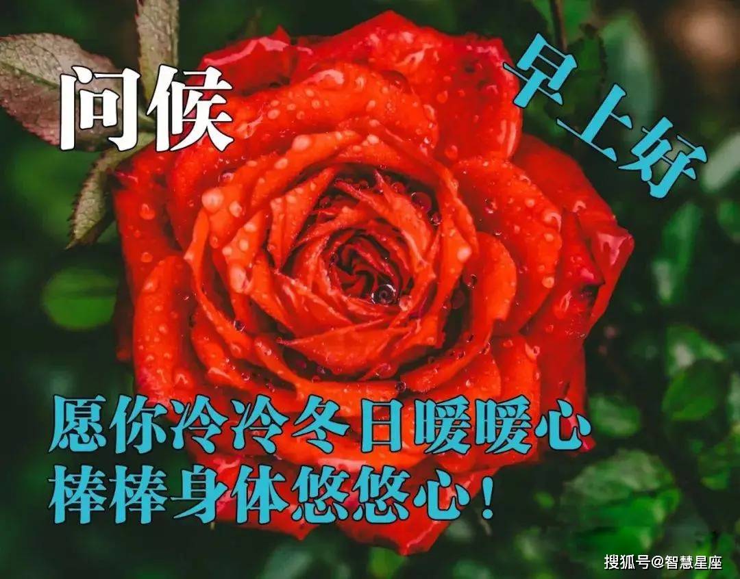 原創3月5日特漂亮的早上好動態問候表情圖片溫馨早安問候語簡短一句話