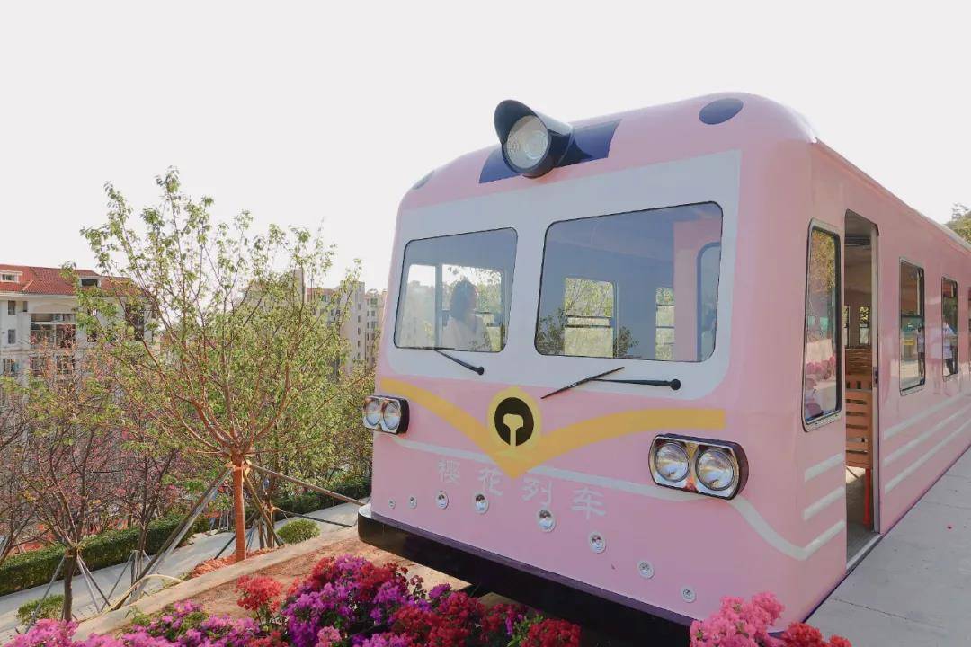 深圳首辆樱花列车，满满日系漫画风，唯美又浪漫