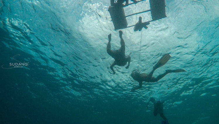 不会游泳能潜水吗？深入海底，才发现敬畏自然是人类求生本能
