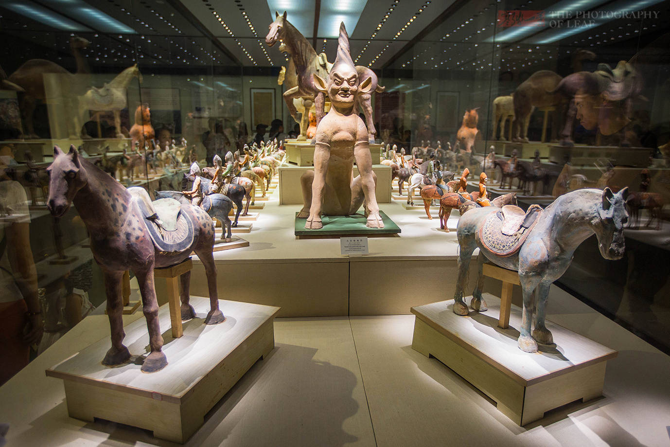 探寻新疆博物馆千年古尸的秘密，楼兰美女如何做到4000年不腐