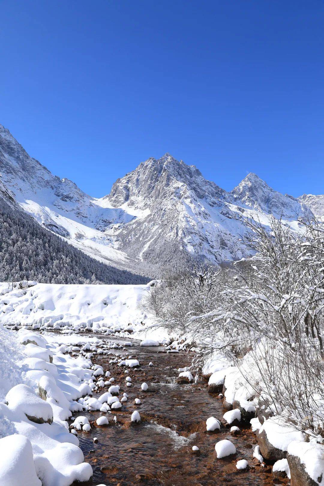 在毕棚沟春天也可以玩雪太幸福啦