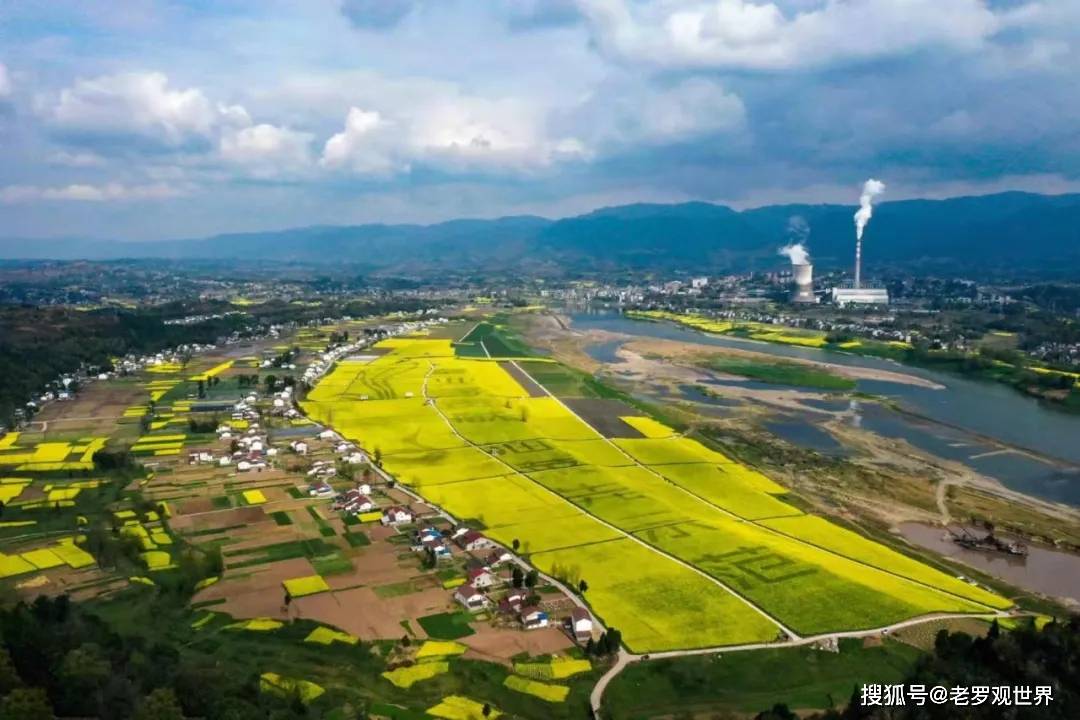 刷爆朋友圈达州渠县李馥这千亩花海太美关键不要门票