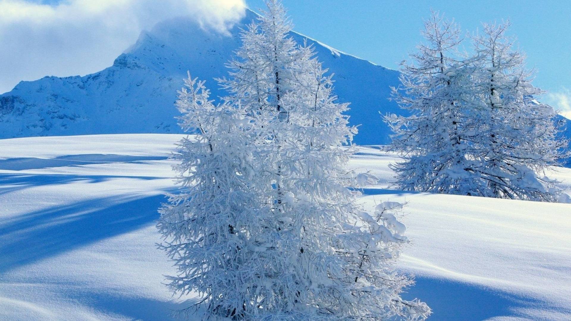 关于雪的唯美昵称有哪些？