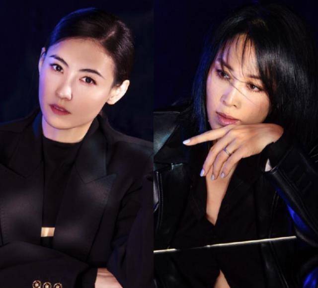 那英和张柏芝有互撕的必要吗