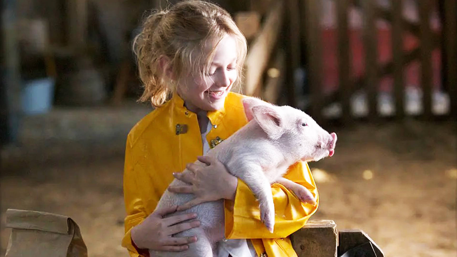 小猪为了不被宰拼命努力上热门还帮主人赚了不少钱