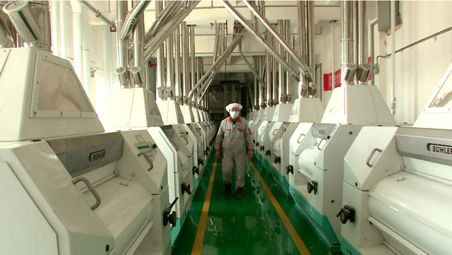 「e投在线」奇台县:面粉企业加工忙 力争首季"开门红"