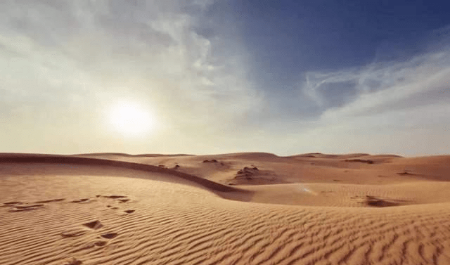 干掉千年沙漠，种出一个海南岛，中国治沙技术让全世界都羡慕