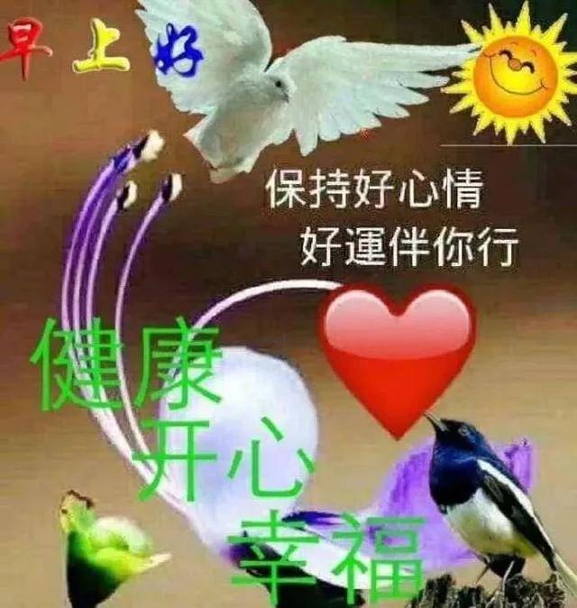 4f43b409a91944ed997cd96275a546b0.jpeg