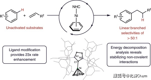 【大家】John F. Hartwig——有机金属领域大牛_催化