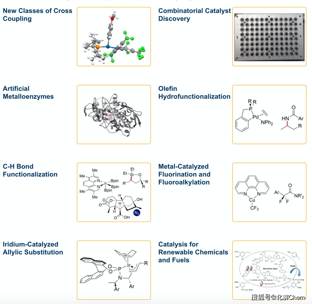 【大家】John F. Hartwig——有机金属领域大牛_催化