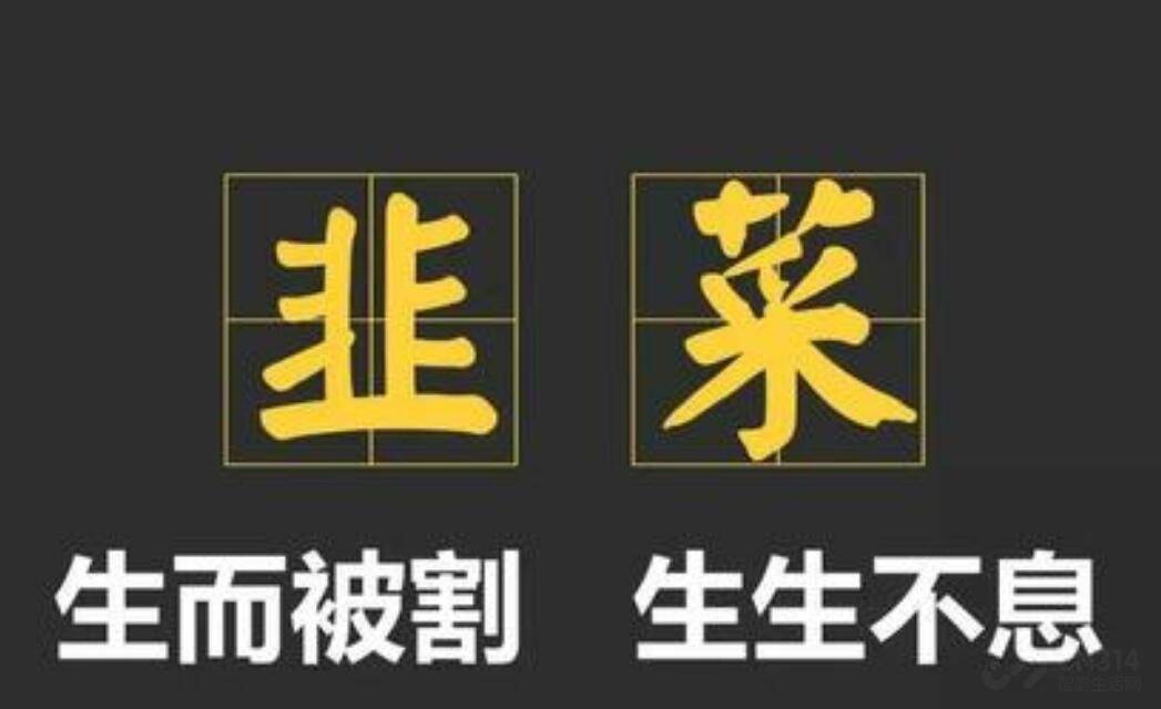 用户|“假5G”露出真面目，韭菜玩家终于笑不出来了！
