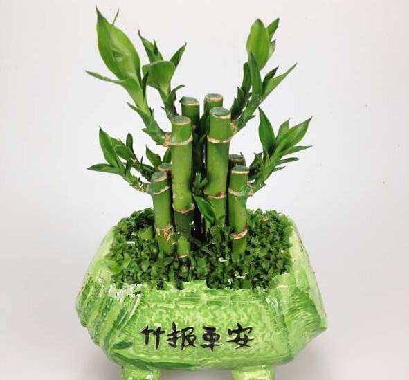 竹什么月成语_成语故事手抄报(3)