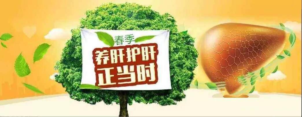 中医怎么健肝护肝