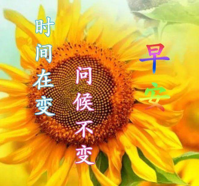 8張最新漂亮春日風景早安圖片帶字帶祝福語免打字朋友圈問候祝福風景