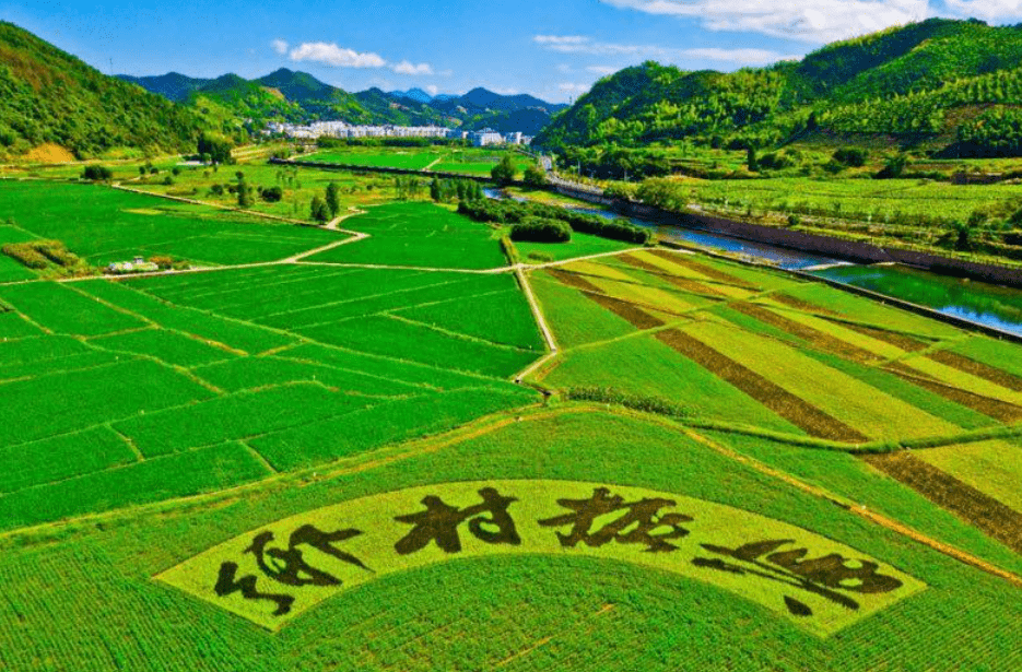 數字鄉村對於鄉村振興的支撐作用