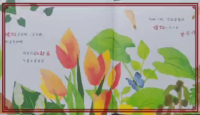 植物也会动青檬老师讲绘本故事