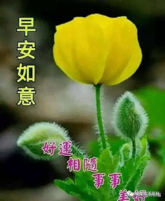 cf290c0cd9684d6bb29aa451aeec0334.jpeg