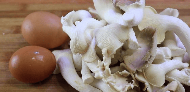 蘑菇怎么做好吃素的 0eb5cdc8a18a4e7fa10ac16f68a841c1.png