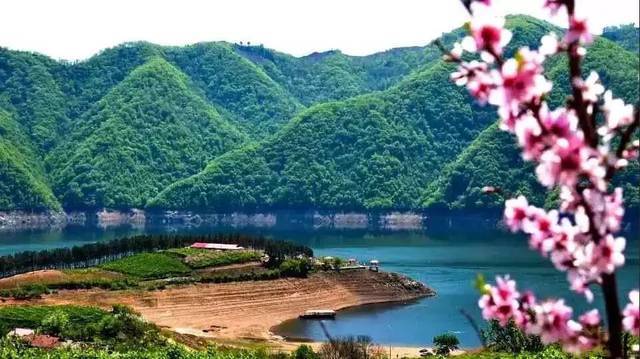 鸭绿江水炖江鱼：龙山湖冰雪消融，一起到这里吃开江鱼如何？