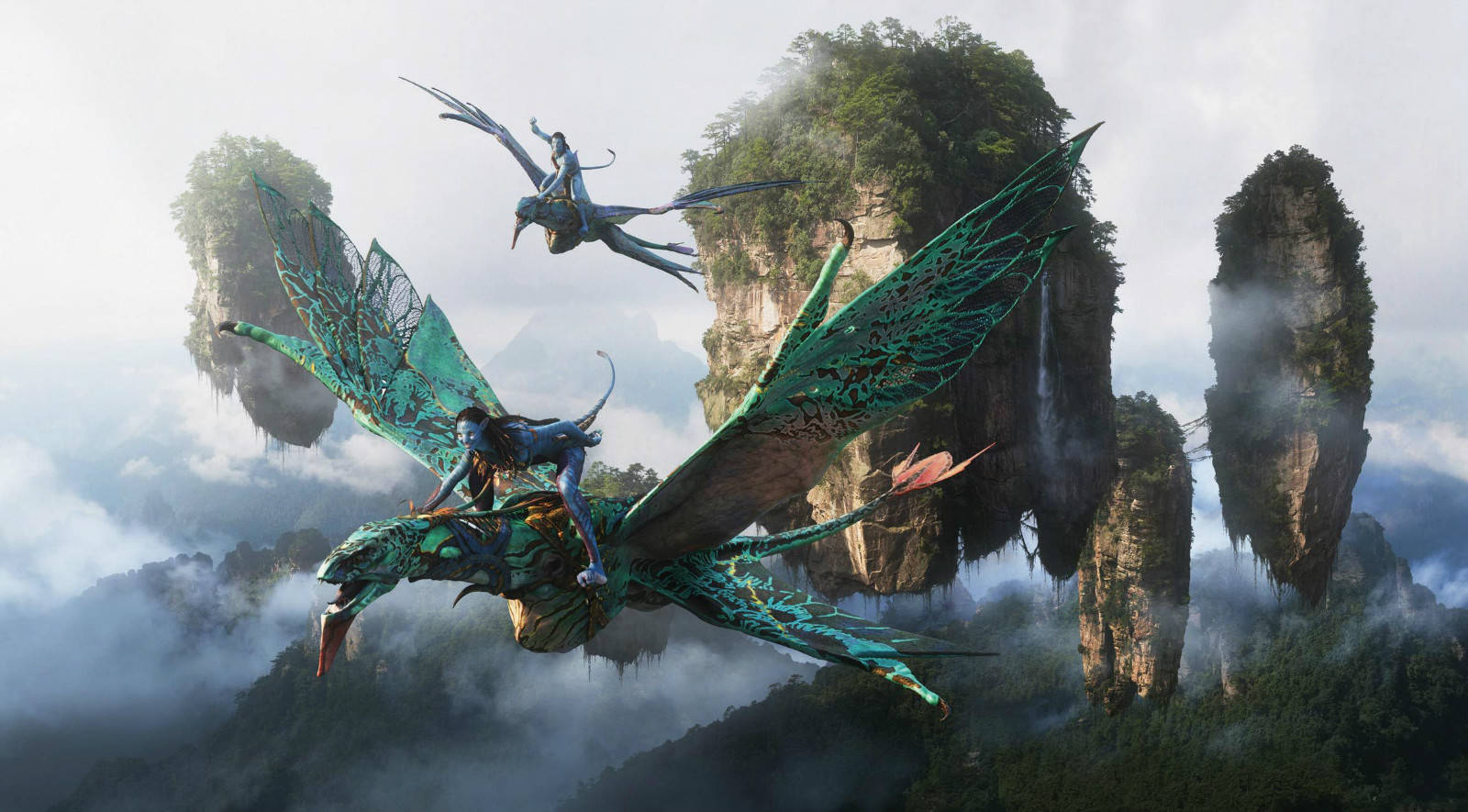 《阿凡达/Avatar》加长版178分钟 超清60帧资源网盘下载图片 第3张