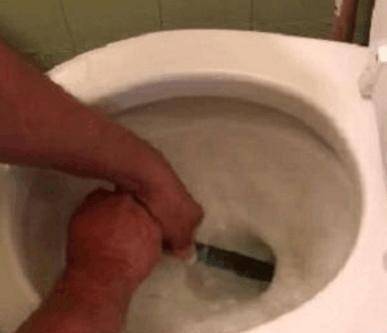 55a4d95ccb184ddaa7ac197e23d00a03.jpeg