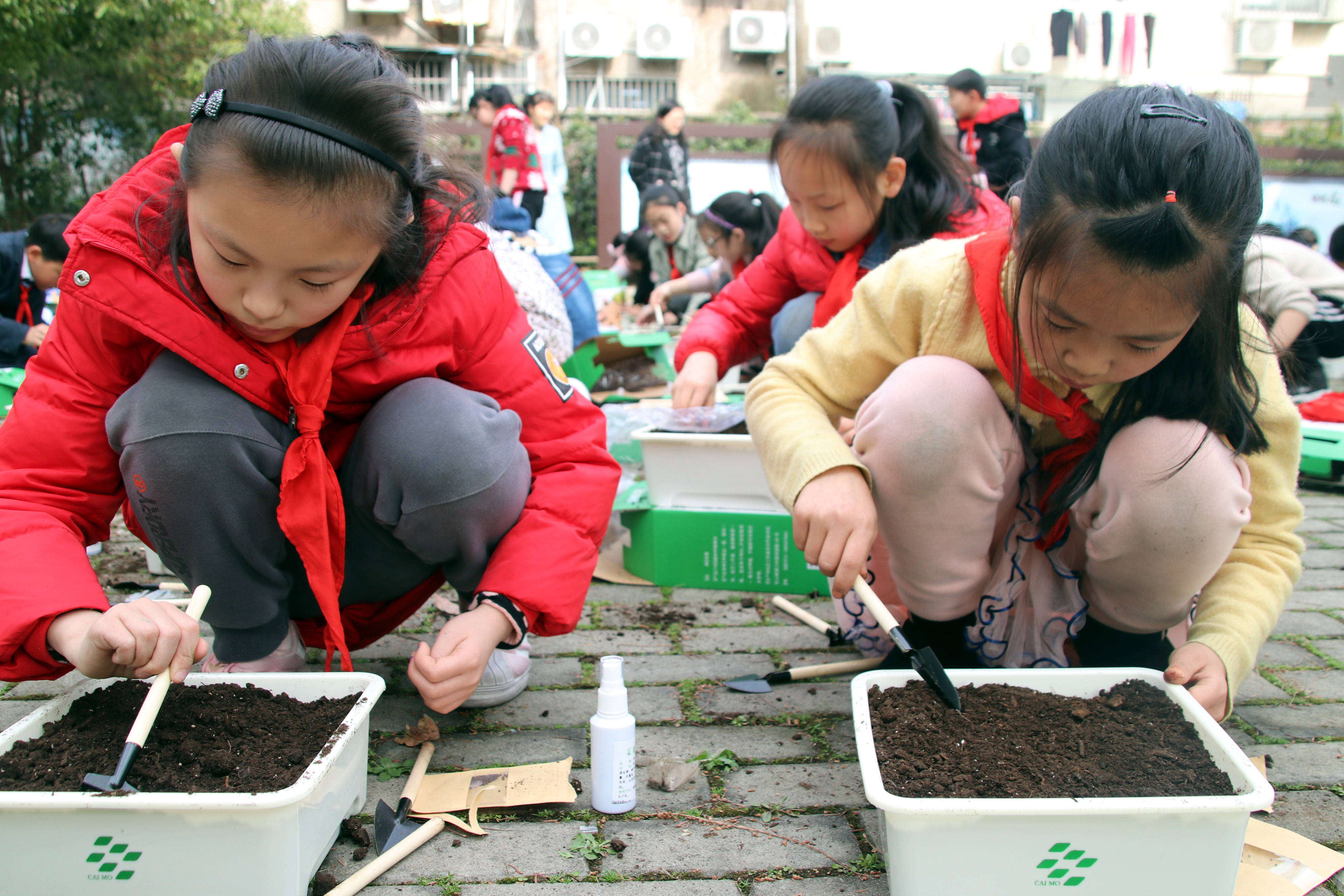 孩子们在农业专家和老师的指导带领下学习蔬菜种植,体验农耕劳动.