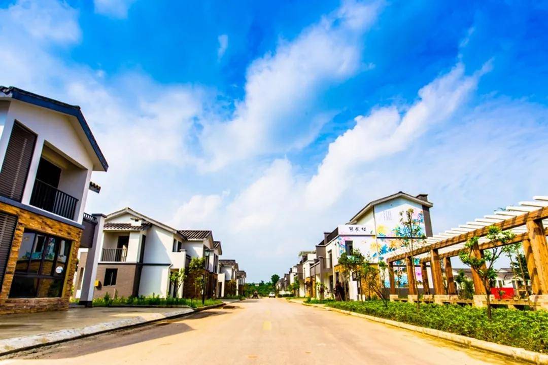 区县解读重磅长寿一大批乡村振兴项目今年开建