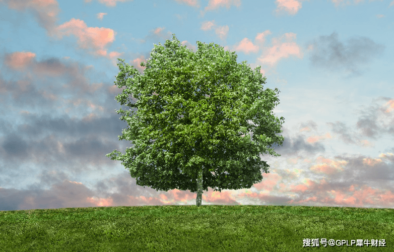 东珠生态称有21个森林项目在建 2020年新