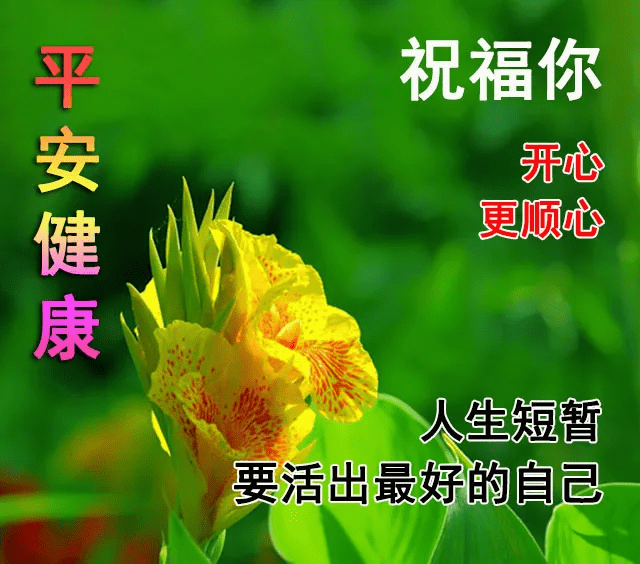 e1cf081a402a4bb38960e5dd6bd067df.png