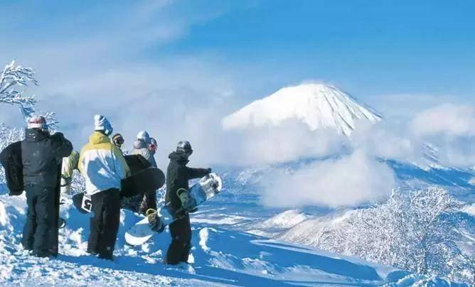 雪友详解留寿都度假村的滑雪场凭什么是北海道NO.1?