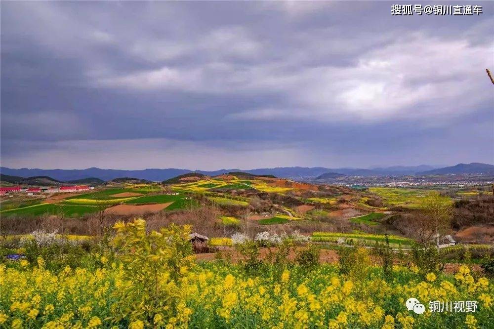 銅川攝影師張寶光鏡頭下陝南的初春美景