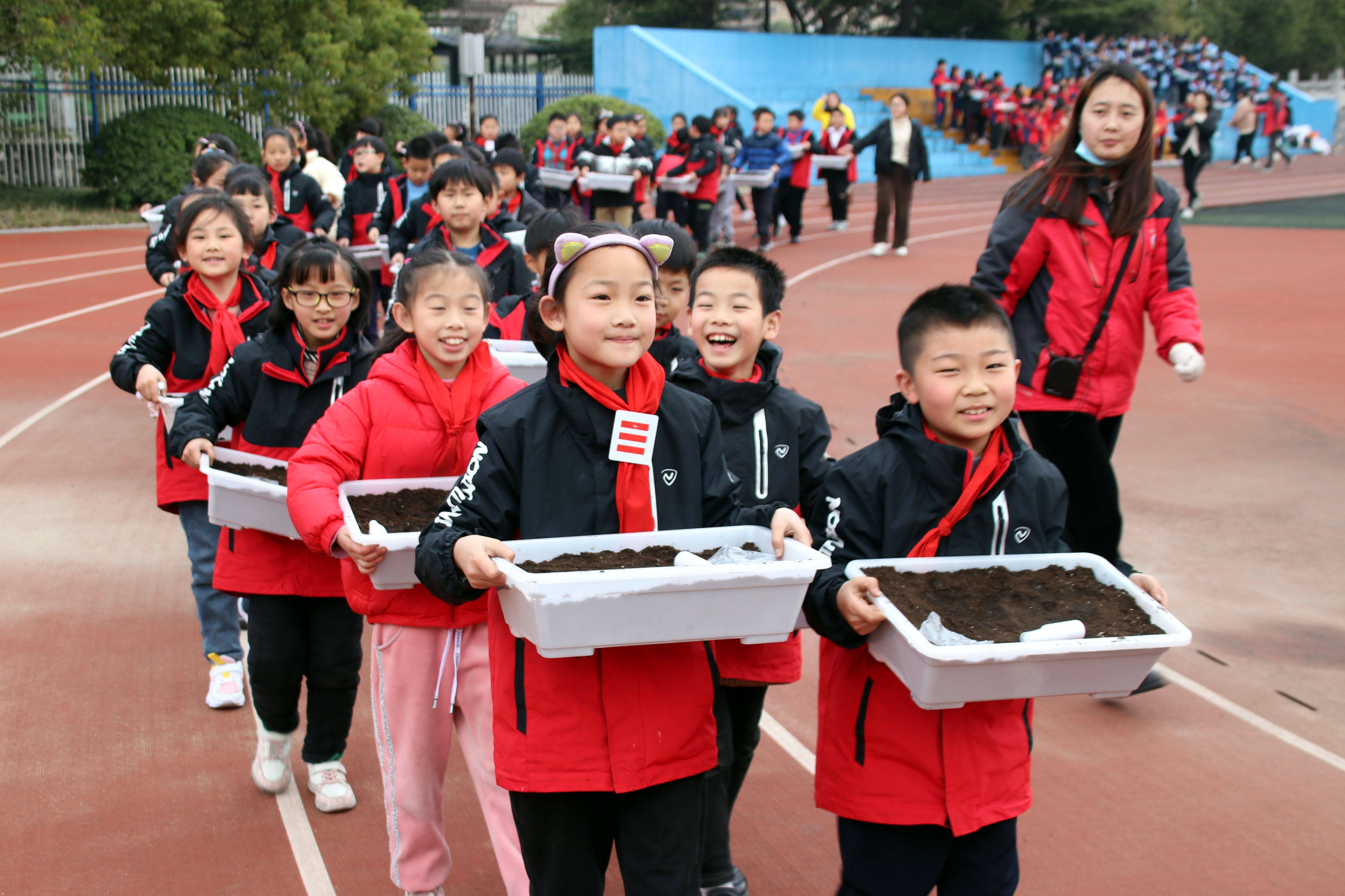 太仓市朱棣文小学开展我与绿蔬共成长劳动教育进课堂主题活动