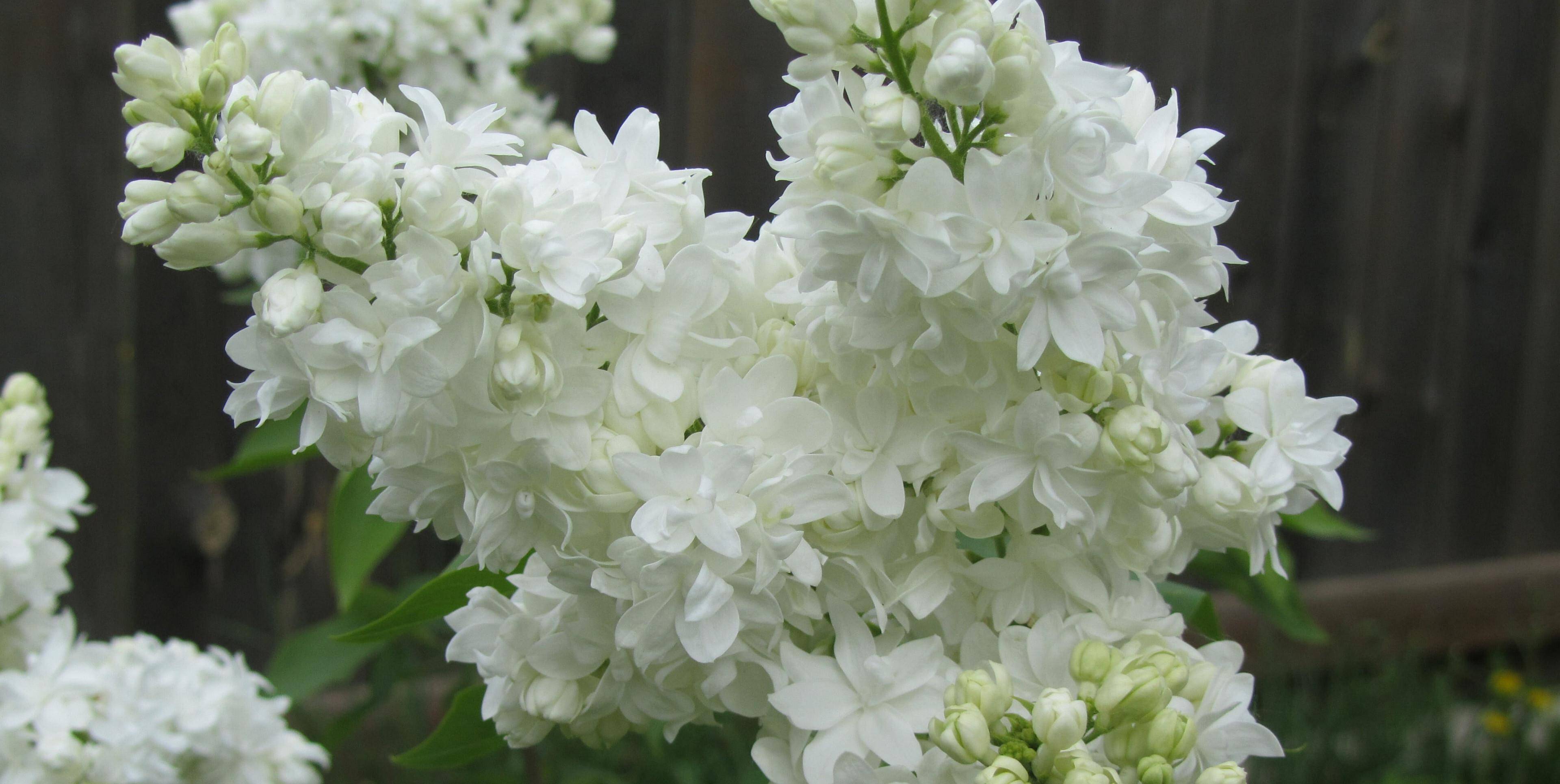 3月13日星座运势 金牛脚踏实地 狮子信心十足 双鱼游刃有余 工作