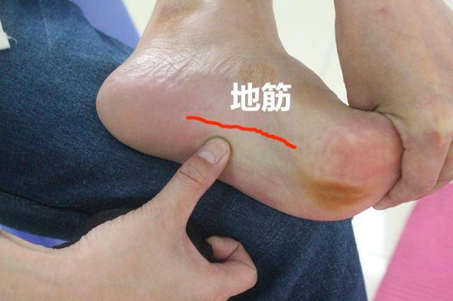 脚上的地筋在什么地方 67eded09bec24627a4cac4f33a145a06.jpeg