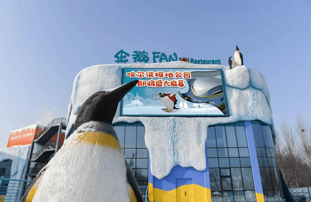 圣亚哈尔滨极地公园盛大启幕！国内首个极地旅游度假区