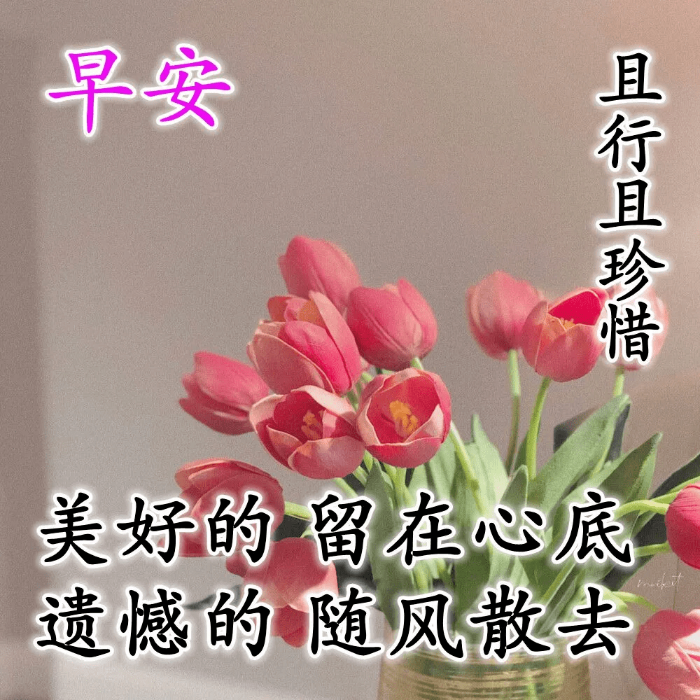 原创早上好最流行的早安经典问候祝福语超美鲜花图片带字