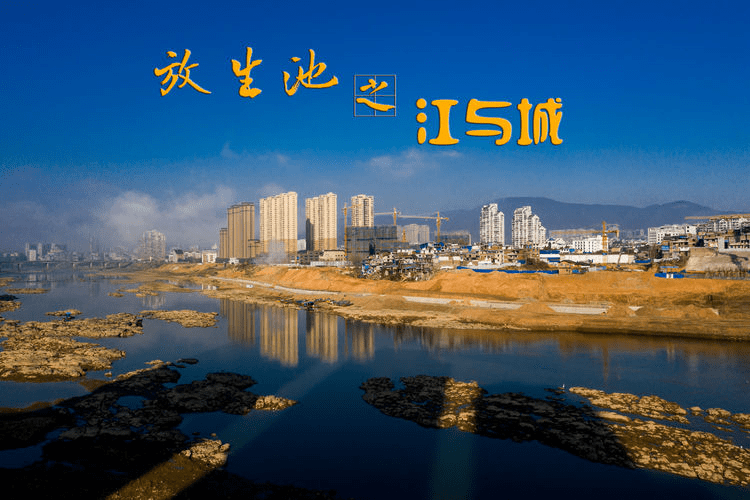 用镜头走进变迁中的"放生池",透过一家三代,讲述发生的故事