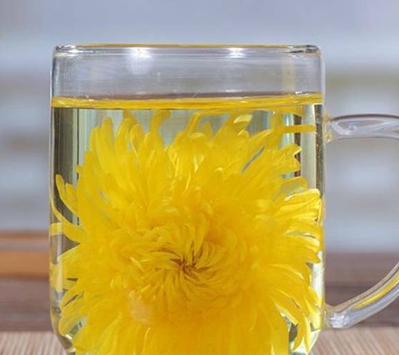 喝哪种菊花茶降火效果好 ecc06de30f3d477fa7b2f8def7f04abd.jpeg