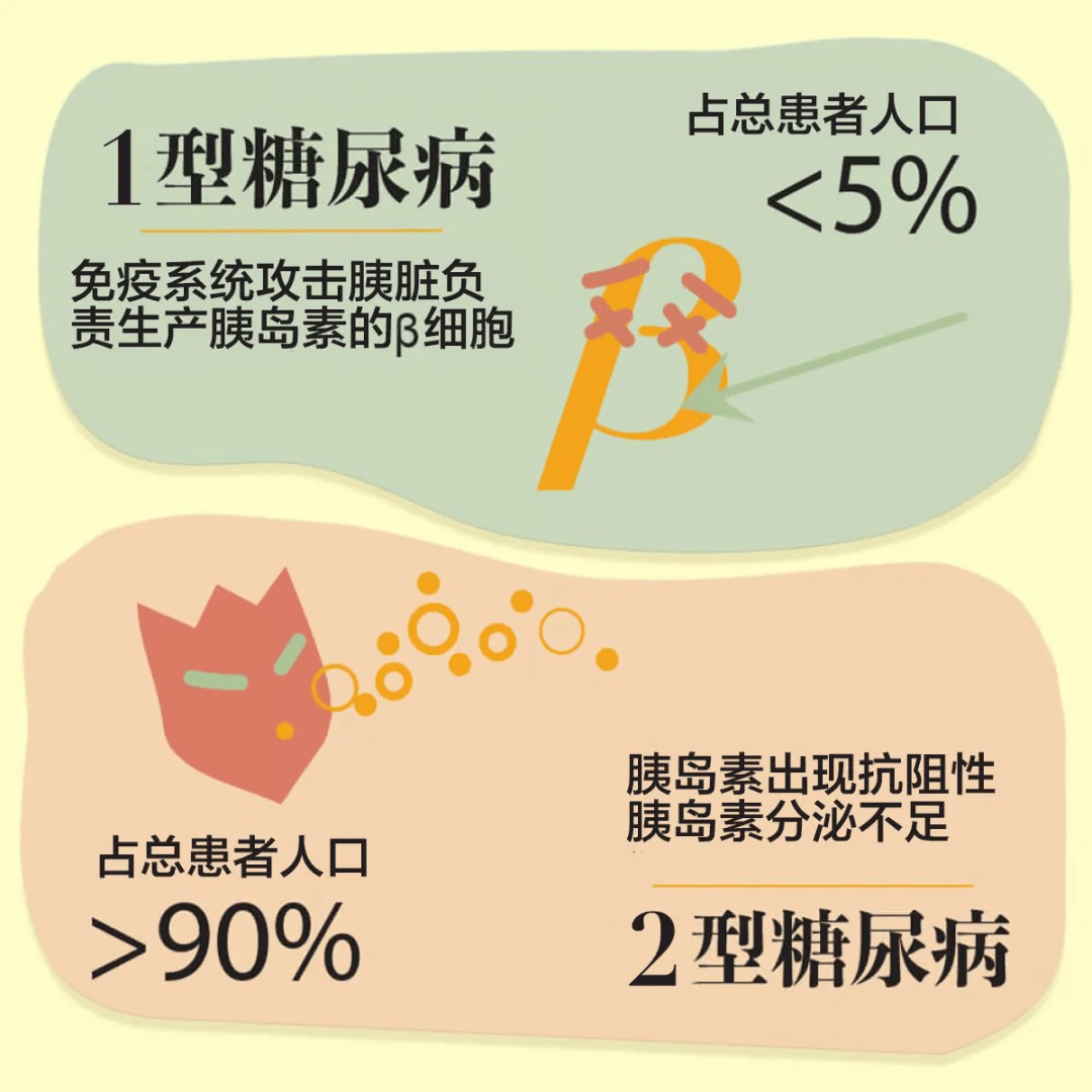 难兄难弟肥胖与糖尿病