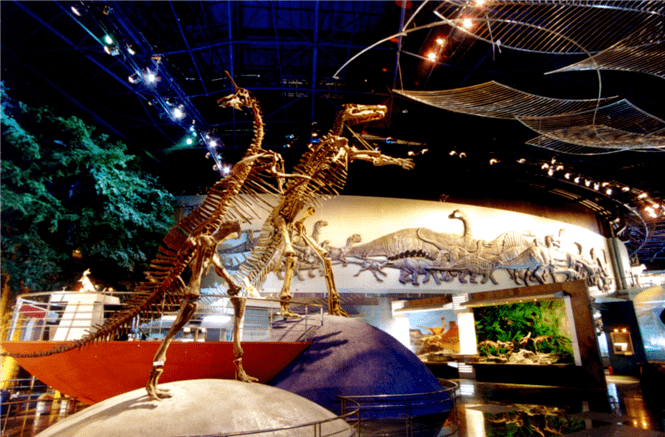东方侏罗纪，神秘恐龙家园，全球最大的恐龙主题公园，好玩是关键