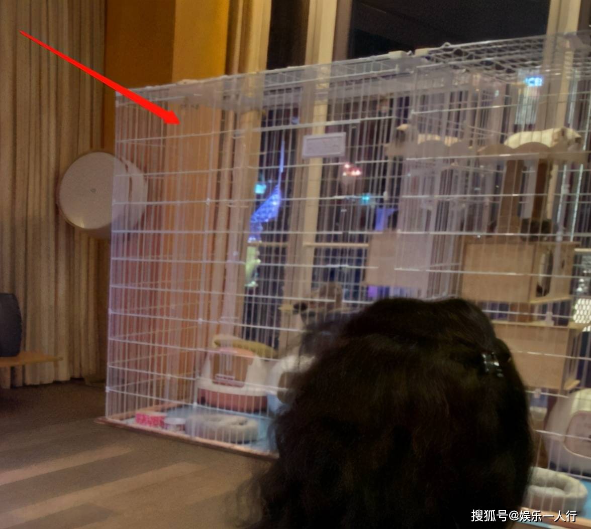 杨颖晒出自己的豪宅用东方明珠当电视墙太让人羡慕了