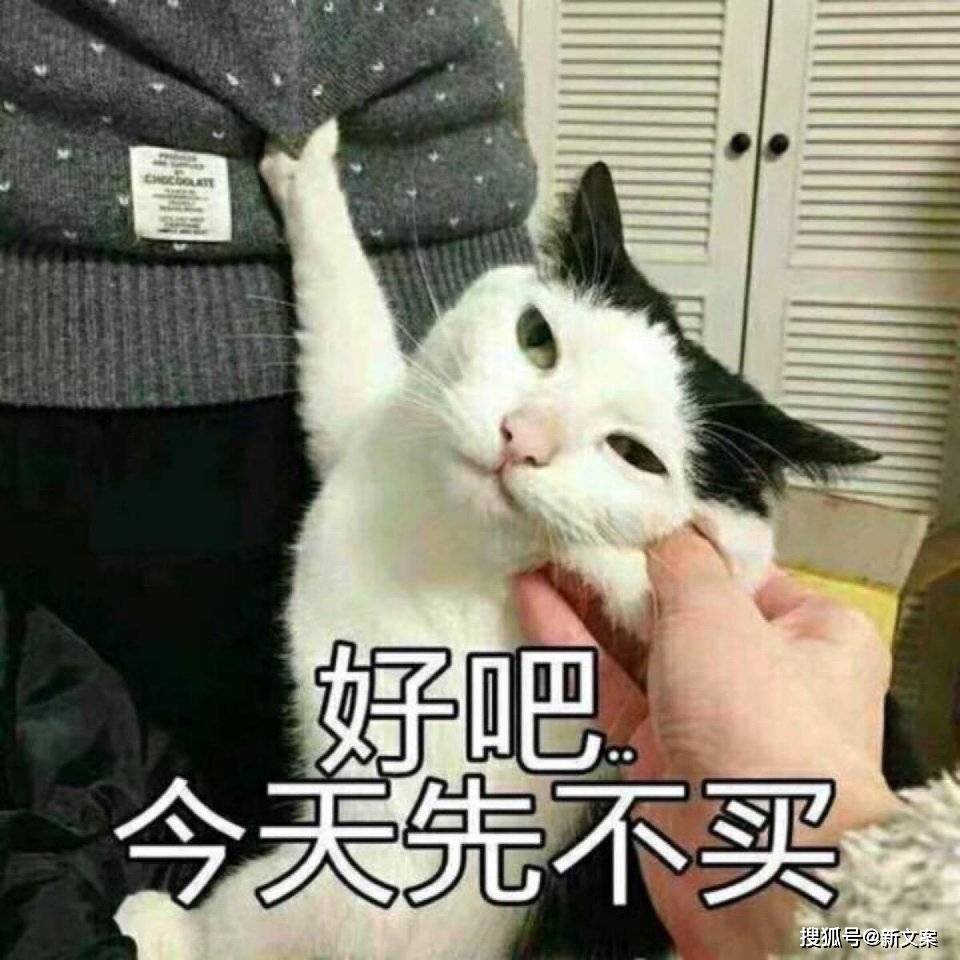 a34f8b12ffda4f34bd3ef5d4ead27dc5.jpeg