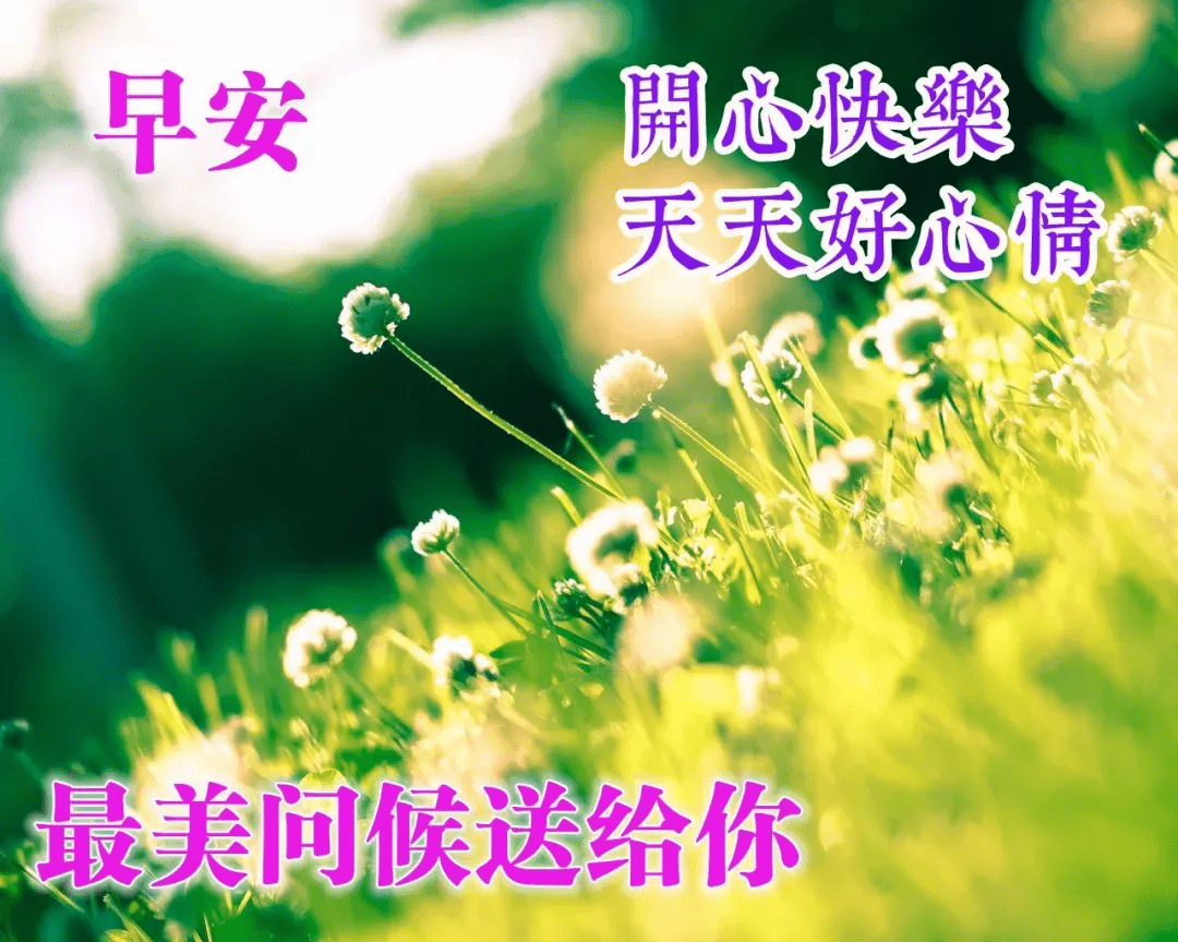 原創早安問候祝福語圖片最新版早上好漂亮圖片大全