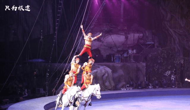 震撼、惊险、刺激、欢乐的广州长隆国际马戏团之旅！