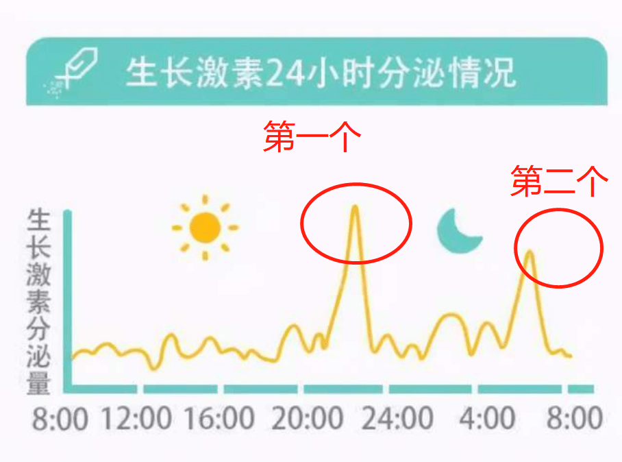 但是大部分家长都不知道,到底是哪个时间段孩子的生长激素分泌得更多