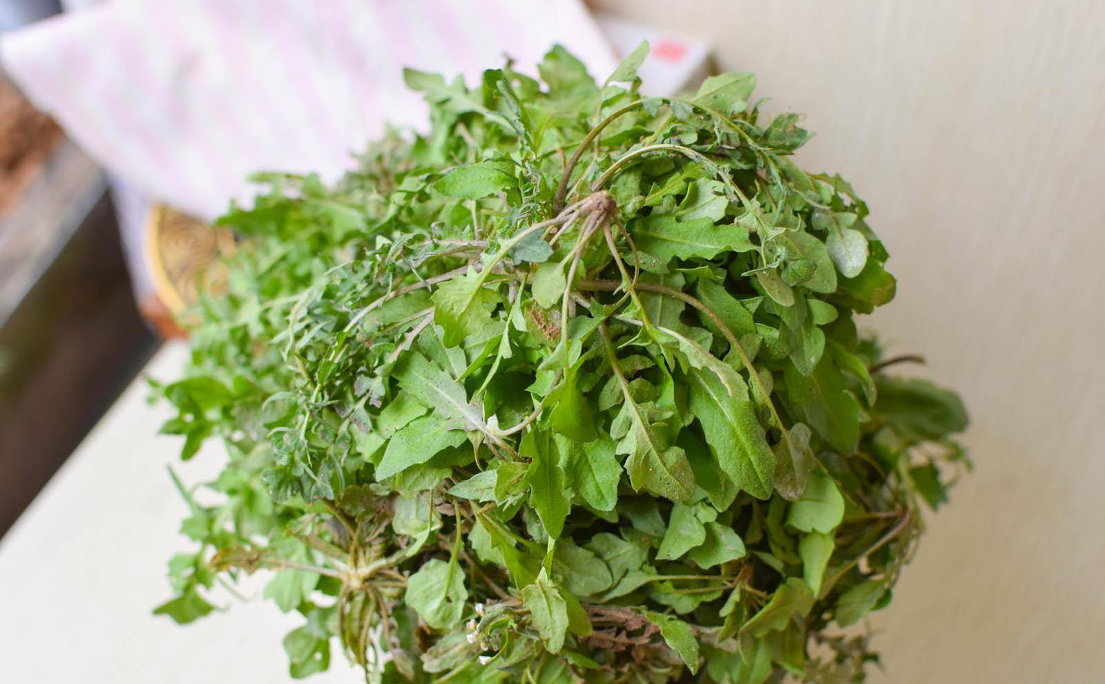 春季尝鲜,荠菜一定要有,5种做法个个都馋人,比吃肉还香