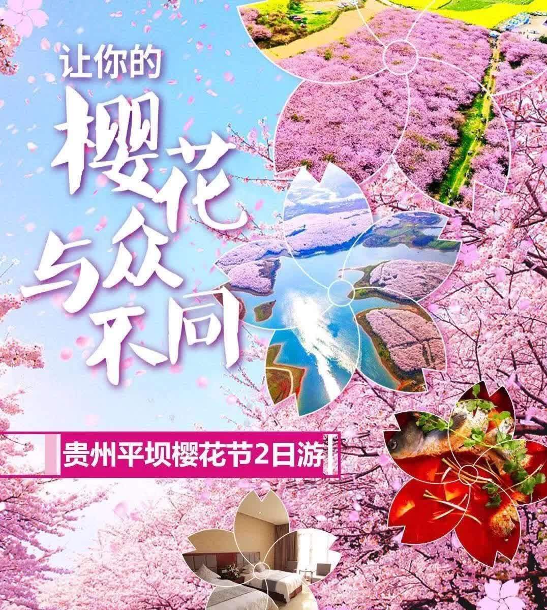 贵州平坝樱花节邀您赏花